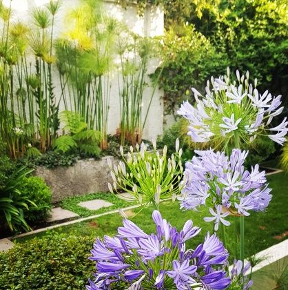 Casa Morelos, Vitacura: 